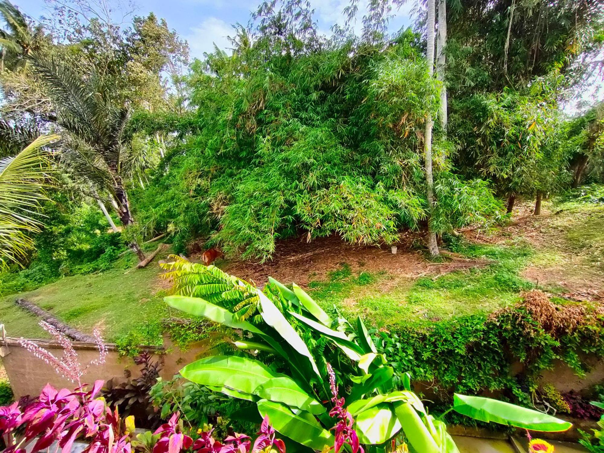 D'Nanda Villa Ubud Habitación foto
